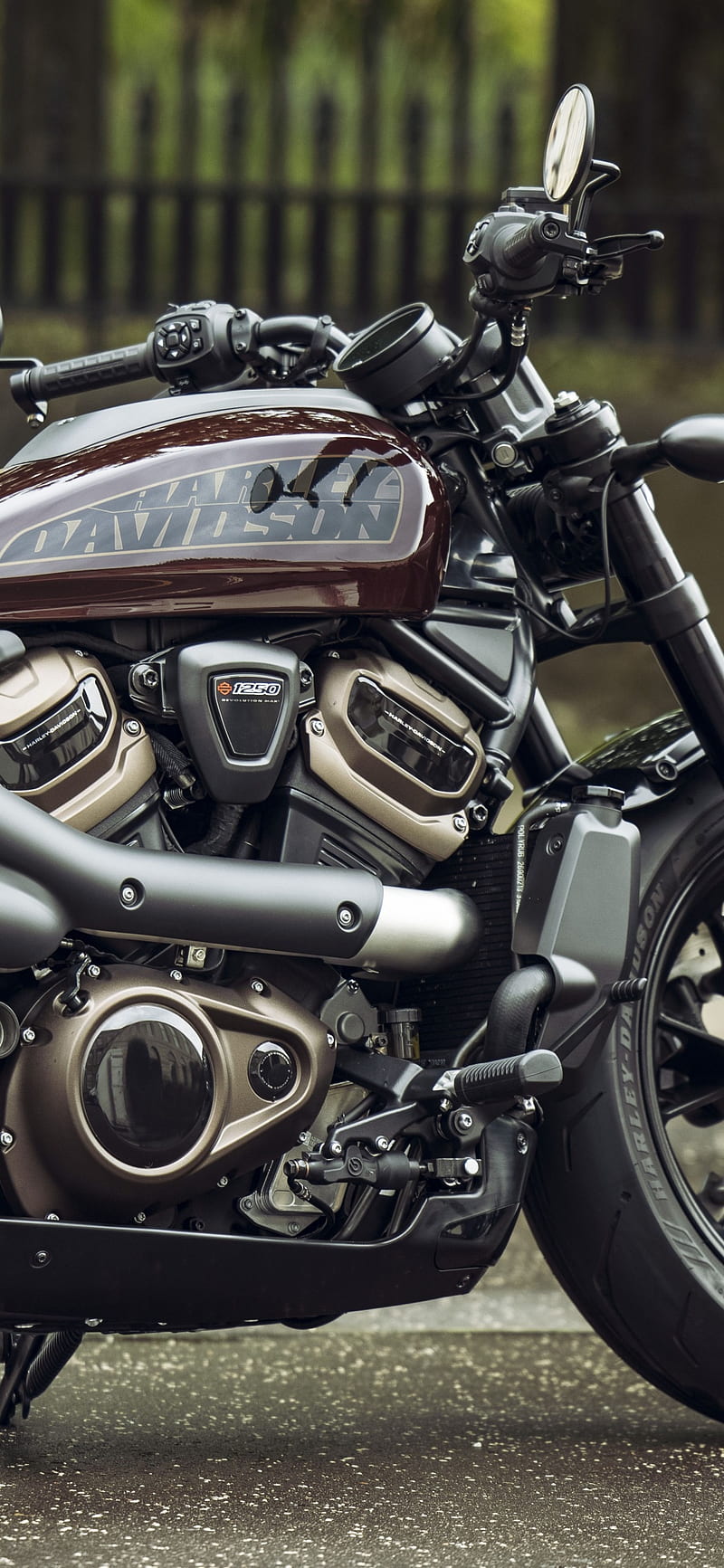 Harley-Davidson Nightster Wallpaper 4K, 8K, Cruiser motorcycle
