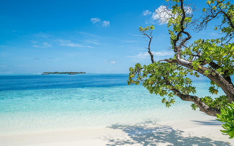 blue lagoon, beach, white sand, bushes, tropical island, summer, seascape, summer travels, HD wallpaper