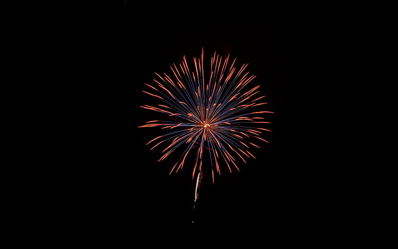 fireworks in the night sky, red fireworks, celebration, fireworks, black sky, HD wallpaper