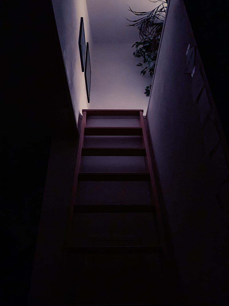 stairs, steps, room, dark, HD phone wallpaper