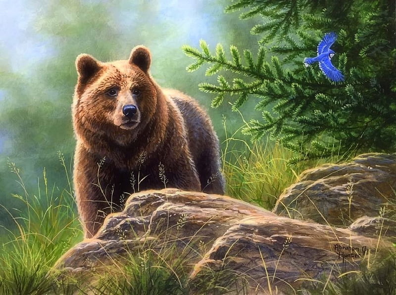 Big Grizzly Bear, rocks, love four seasons, bear, attractions in dreams, trees, paintings, bird, summer, wildlife, nature, forests, animals, HD wallpaper