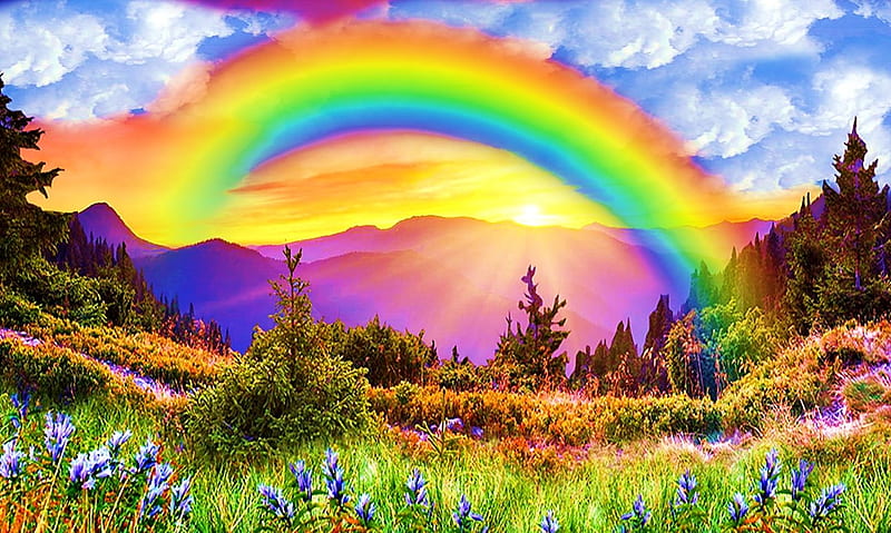 rainbow landscape, nature, rainbow, sky, field, HD wallpaper