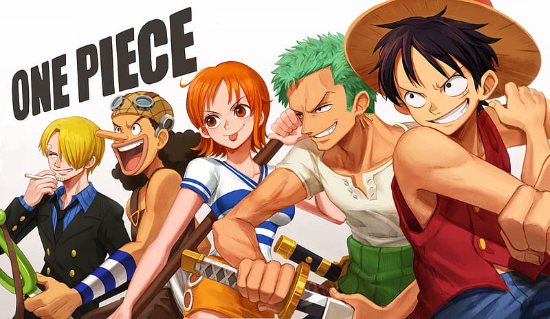 One Piece, Monkey D. Luffy , Nami (One Piece) , Roronoa Zoro , Sanji (One Piece) , Usopp (One Piece), HD wallpaper