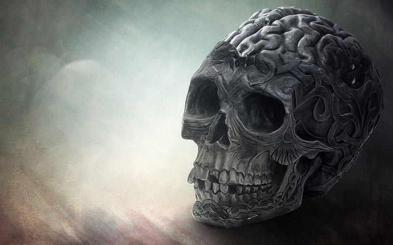 Brain Skull, brain, skull, creative, graphics, HD wallpaper