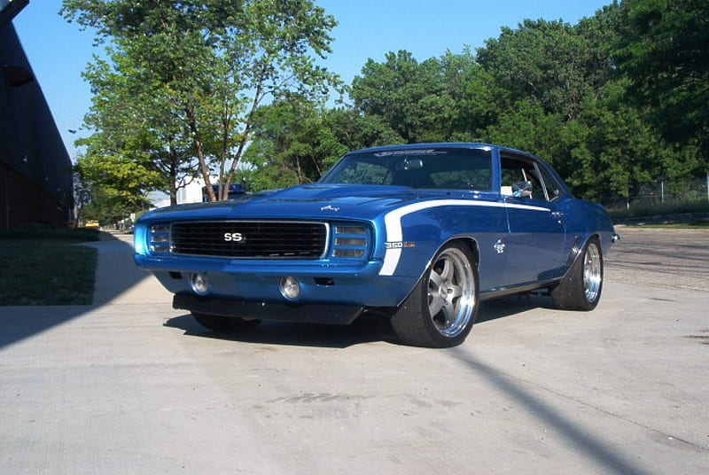 1969-Camaro-SS, Classic, Gm, Bowtie, Blue, HD wallpaper 1969-Camaro-SS, Classic, Gm, Bowtie, Blue, HD wallpaper