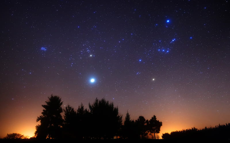 Orion of the South, stars, stargazing, sky, night, constellations, orion, HD wallpaper