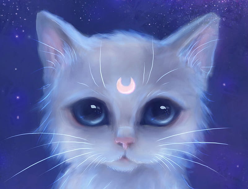 Artemis, moon, luminos, cat, aria illustration, fantasy, moon, sailor moon, white, eyes, pink, pisica, HD wallpaper