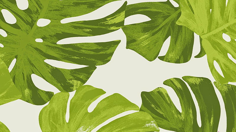 Green Leaves In White Background Preppy, HD wallpaper | Peakpx