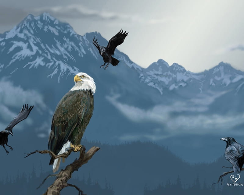 standing hawk, stand, cloud, bird, eagle, birds, nature, sky, animals, HD wallpaper
