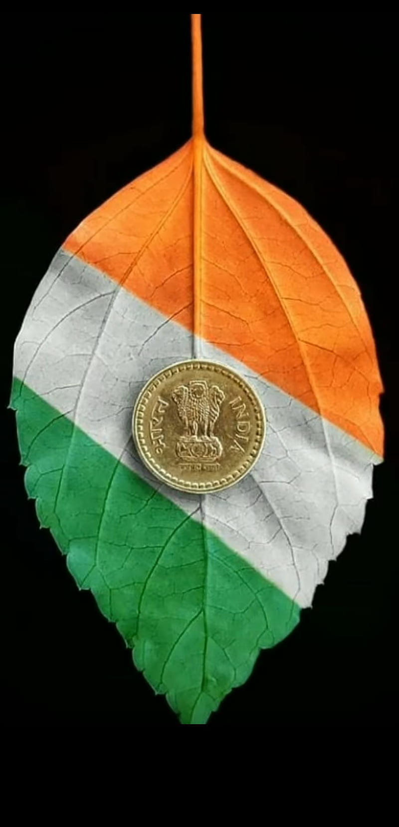 India, flag, leaf, HD phone wallpaper