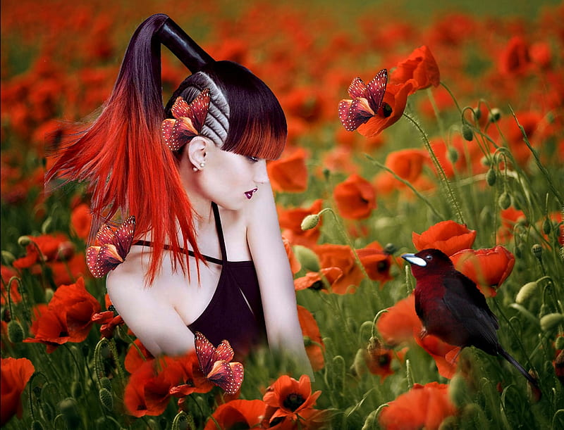 First Meeting, artistic, pretty, stunning, poppies, bold, breathtaking, bonito, woman, women, floral, bright colors, feminine, flowers, gorgeous, daring, female, vivid, lovely, butterflies, creative, girl, garden, flower garden, HD wallpaper