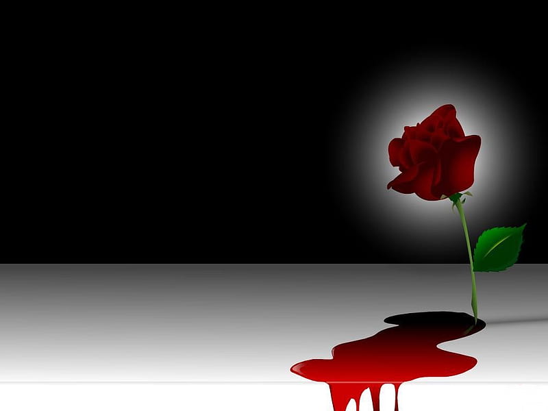 love_rose, red, rose, love, love rose, blood, HD wallpaper