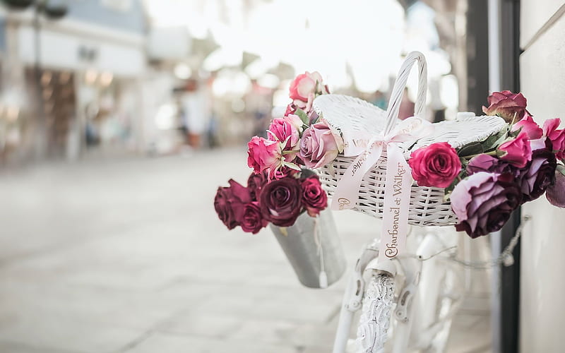 pink flowers, bicycle, street scenery, roses, HD wallpaper