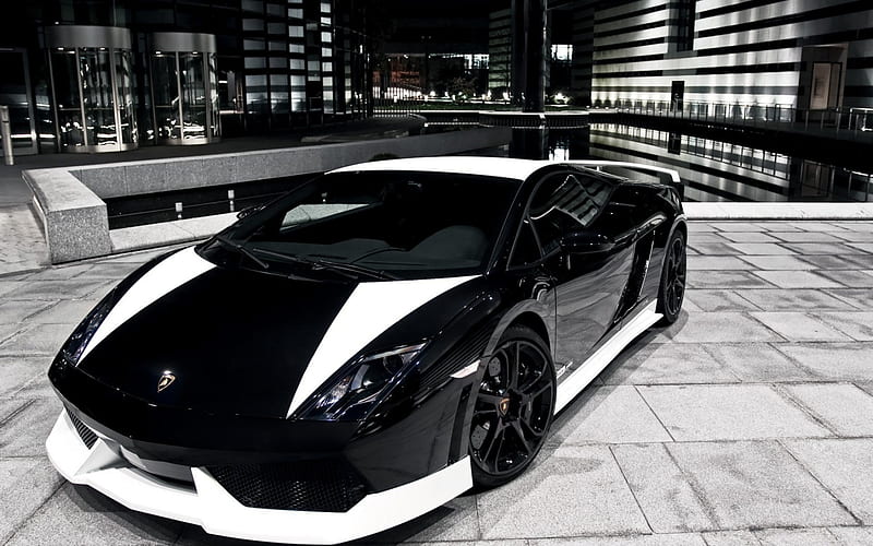 Lamborghini Aventador, carros, Lamborghini, vehicles, black and white,  Aventador, HD wallpaper | Peakpx