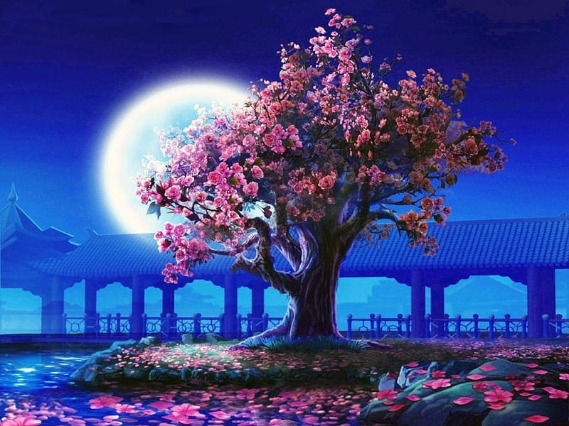 Blossoming Tree, pond, tree, blossoms, moonlight, petals, cherry, HD wallpaper