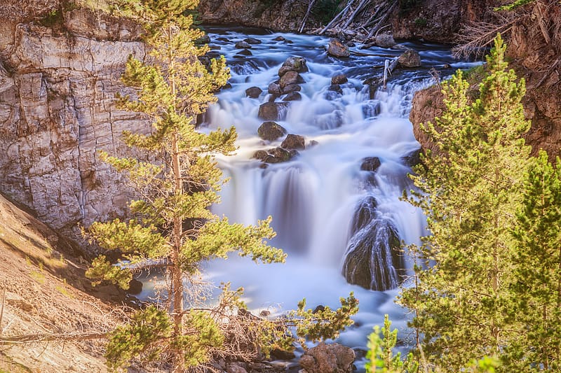 Waterfalls, Waterfall, Tree, , Stone, Wyoming, Yellowstone, Firehole Falls, HD wallpaper
