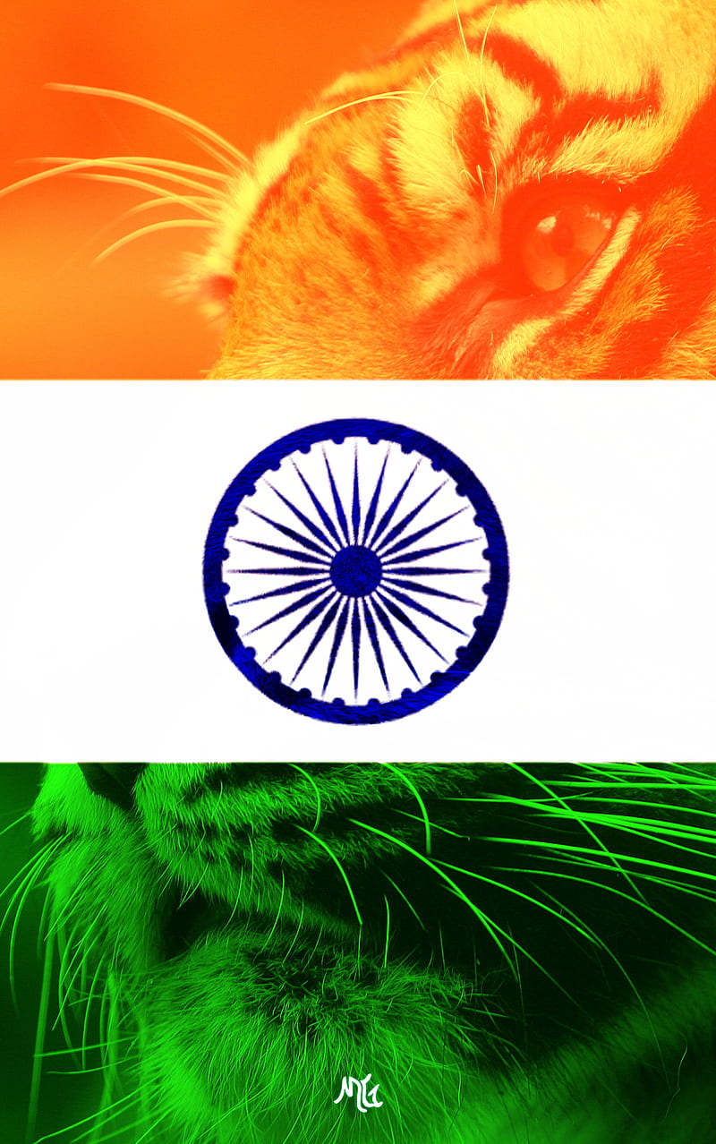 India Flag IN, india, indian, flag, tiger, taj mahal, orange, green, lotus,  nirvana, HD phone wallpaper | Peakpx