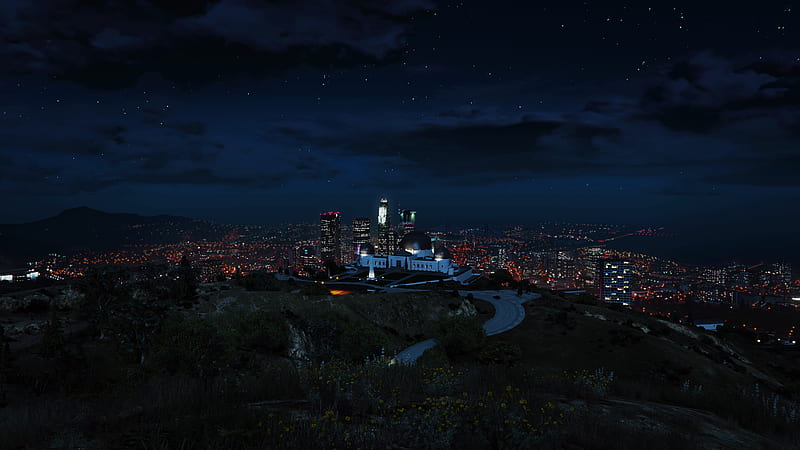 Grand Theft Auto 5 City View, HD wallpaper