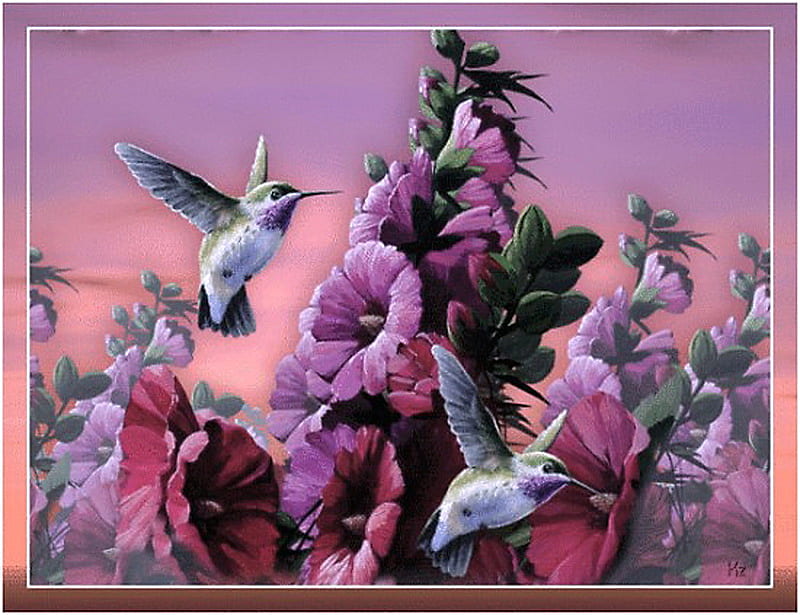 Hummers, flight, spring, clouds, pink, humming birds, nectar, blue, HD wallpaper