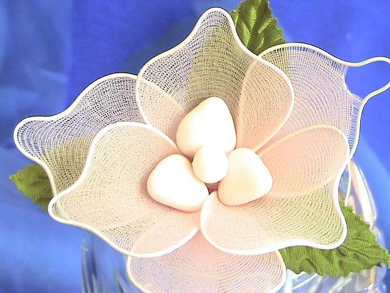 cotton flower, bloem, stoffen bloem, katoen bloem, HD wallpaper