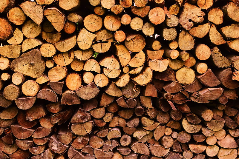 stack of firewood at daytime, HD wallpaper