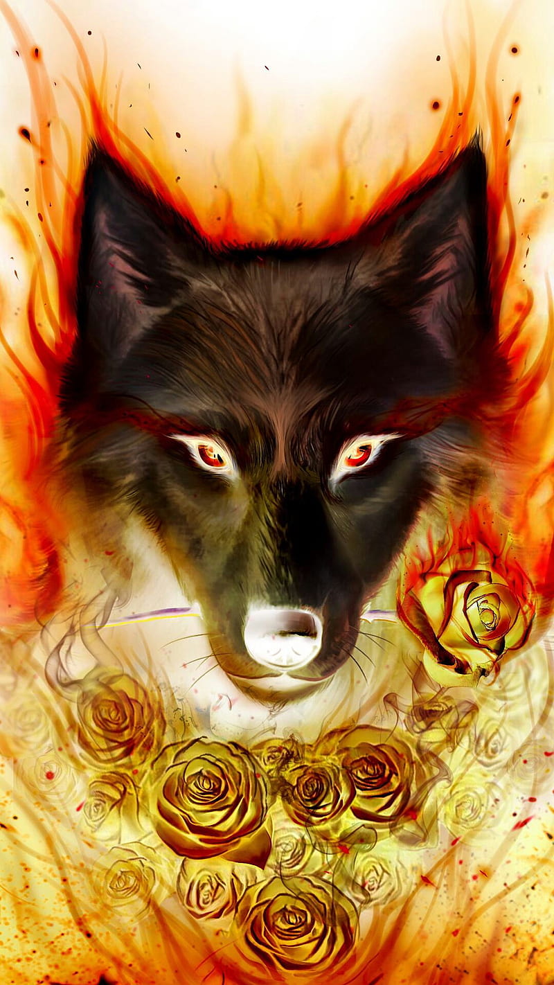 Fire wolf, black, red, HD phone wallpaper