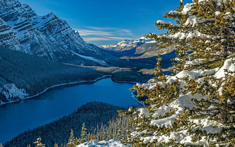 Peyto Lake, mountain lake, forest, winter, mountain landscape, Banff National Park, Alberta, Canadian Rockie, Canada, HD wallpaper