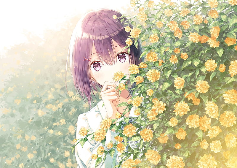 anime girl, yellow flowers, short purple hair, sunlight, Anime, HD wallpaper