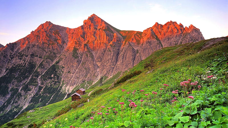 Slope Of Flower Plants And Landscape Of Red Covered Mountain Nature, HD wallpaper