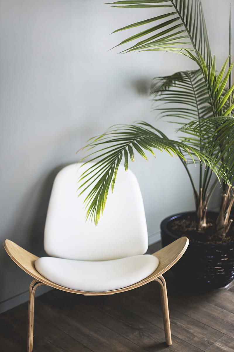 brown wooden chair beside plant, HD phone wallpaper