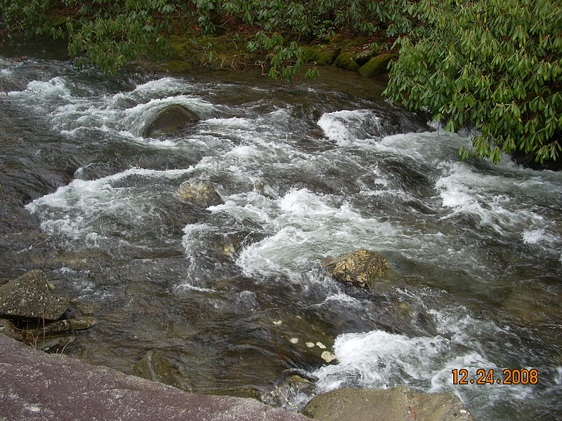 Rapid, rocks, rushing water, water, white rapid, HD wallpaper