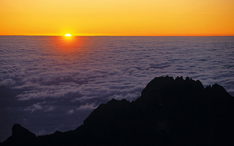 47 Tanzania-Kilimanjaro overlooking, HD wallpaper