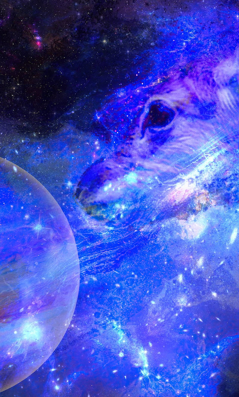 Galaxy Deer iPhone , , Background, and, HD phone wallpaper