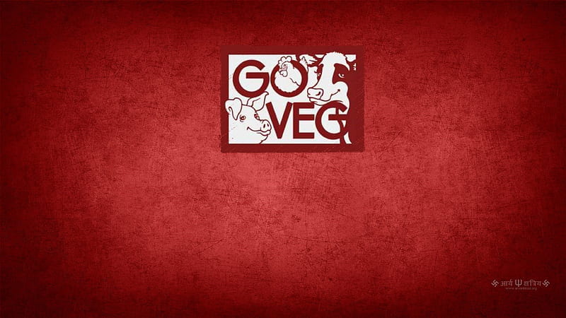 go veg , cow, pig, chicken, veg, vegetarian, chick, animal, bird, love, mercy, animals, vegan, HD wallpaper