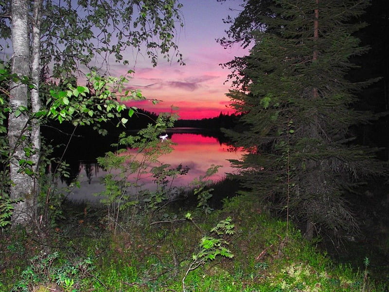 Sunset, colorful, shore, grass, bonito, mirrored, sundown, nice, darkness, river, evening, reflection, night, amazing, quiet, calmness, lovely, colors, sky, trees, lake, water, serenity, serenitry, nature, branches, HD wallpaper