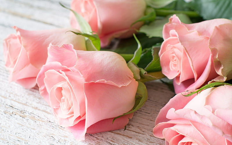 rose, a bouquet of roses, beautiful flowers, bouquet , pink roses, roses, HD wallpaper
