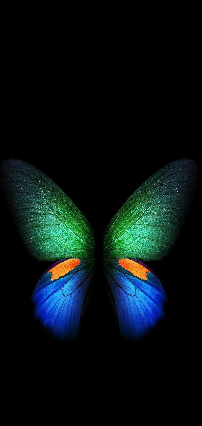 Butterfly, abstract, colors, fold, galaxy, samsung, HD phone wallpaper |  Peakpx