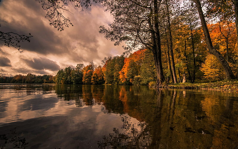 Lake Hancza, autumn, yellow trees, autumn landscape, Poland, beautiful lake, HD wallpaper