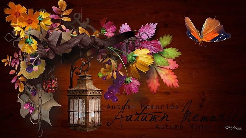 Memories of Autumn, fall, flowers, autumn, lantern, orange, ribbon, collage, leaves, gold, butterfly, berries, bouquet, papillon, flowers, swag, light, HD wallpaper