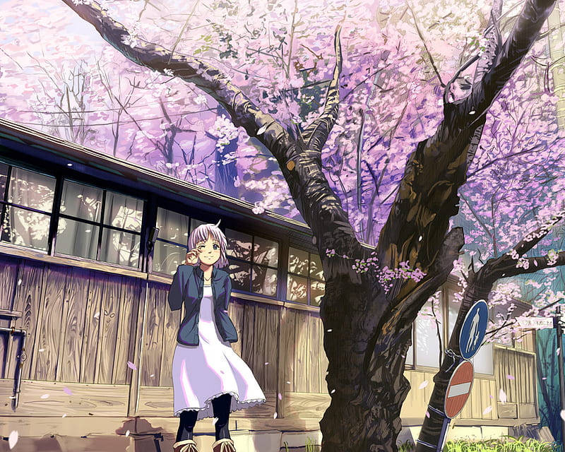 Bajo el árbol, sakura, árbol, niña, anime, Fondo de pantalla HD | Peakpx