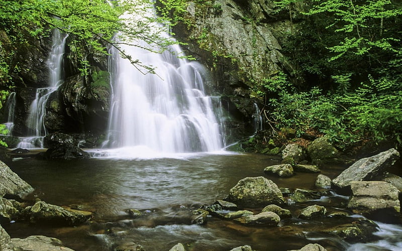 Spruce Flat Falls, Tennessee, forest, rock, creek, trees, waterfalls, leaves, daylight, water, green, day, nature, river, white, falls, HD wallpaper