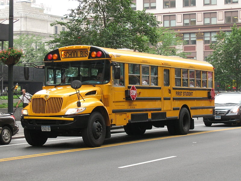 nyc school bus, building, school, street, bus, HD wallpaper