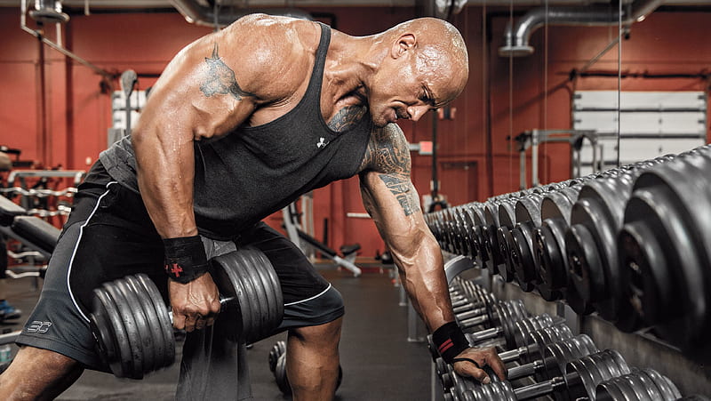 Dwayne Johnson Workout, dwayne-johnson, celebrites, lifting, exercise, HD  wallpaper | Peakpx