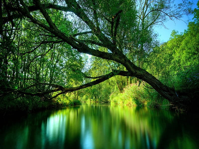 Rivers edge, green, river, reflections, trees, sky, HD wallpaper | Peakpx