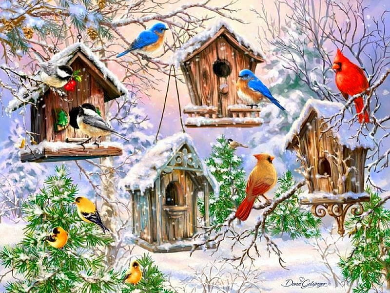 Winter Birdhouses, Christmas, holidays, New Year, love four seasons, birds, xmas and new year, winter, cardinals, snow, HD wallpaper