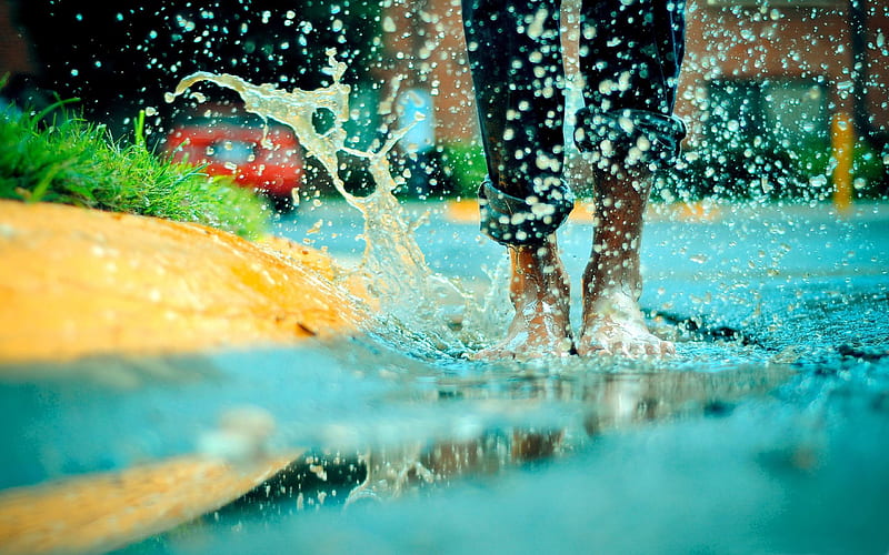 jumping in a rain puddle-summer landscape, HD wallpaper