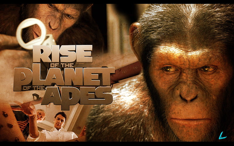 Rise of the Planet of the Apes movie 12, HD wallpaper