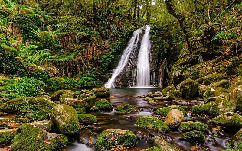 Five Day Creek Falls, NSW, Australia, Forest, Waterfall, Australia, Rocks, Nature, HD wallpaper