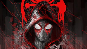 Spiderman In Hoodie, spiderman, superheroes, flickr, HD wallpaper | Peakpx