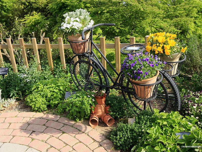 Bicycle potted Art- Japanese garden art landscape, HD wallpaper